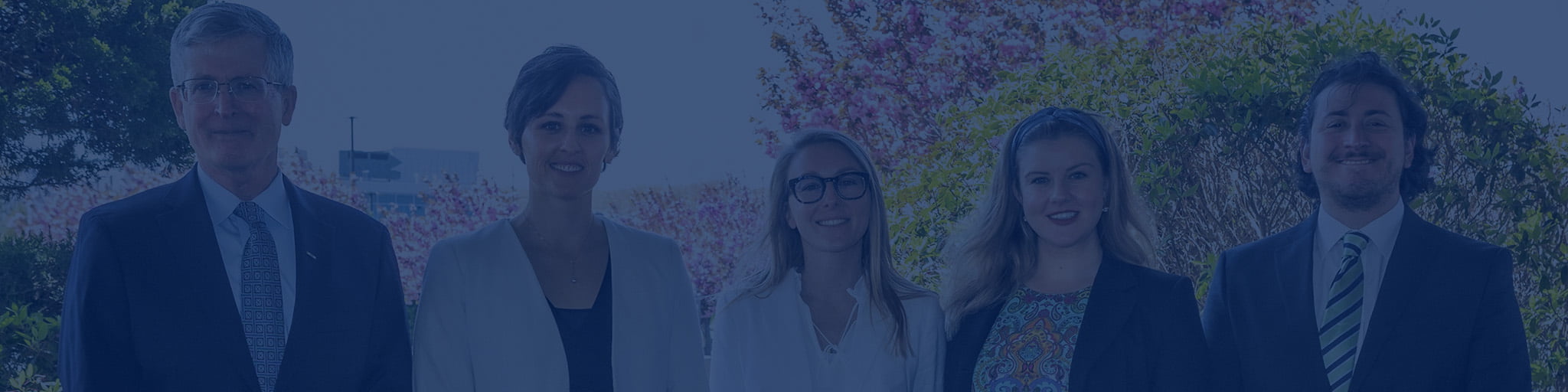 Meet The Team
